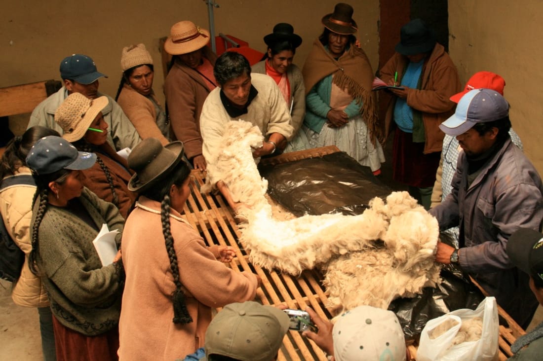 Participa en El Quintal del Inca