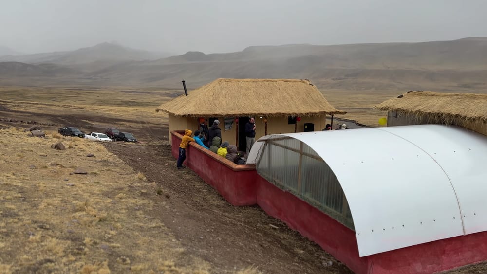 Pacomarca e Inca Tops lanzan El Quintal del Inca 2026/2027, el concurso nacional que premia la excelencia alpaquera